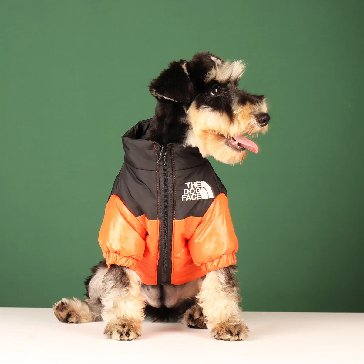 Large Winter Dog Jacket