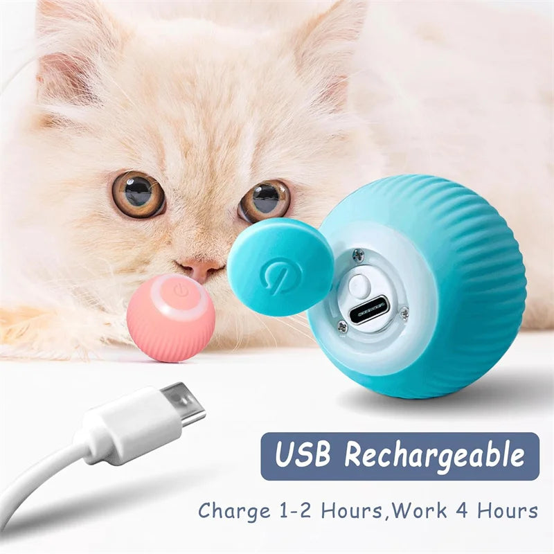 USB Rechargeable Interactive Dog & Cat Ball