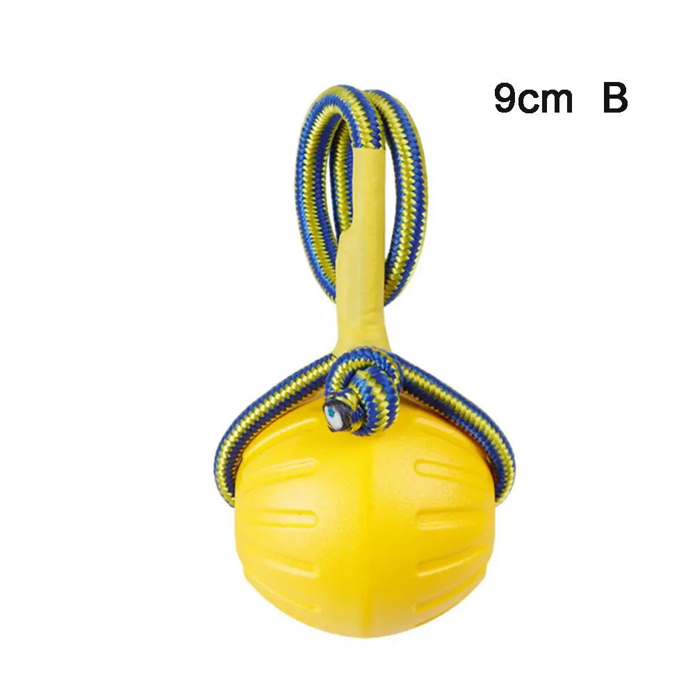 Indestructible Rubber Dog Ball Toy