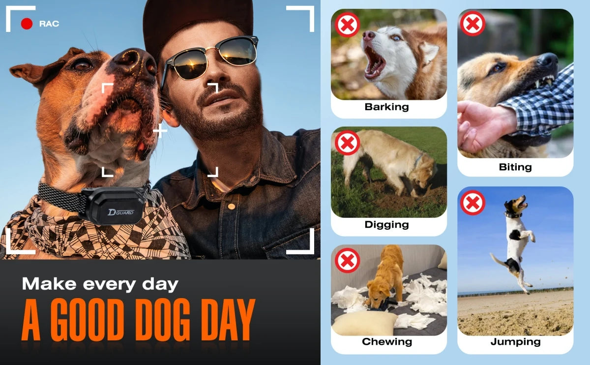 800m Digital Dog Training Collar