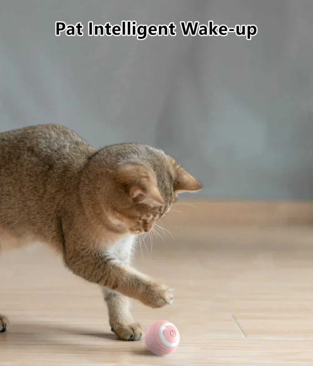 Interactive Smart Cat Ball Toy