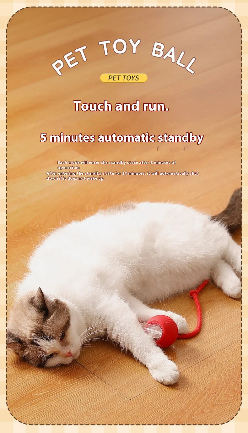 Rechargeable Smart Cat Ball Toy