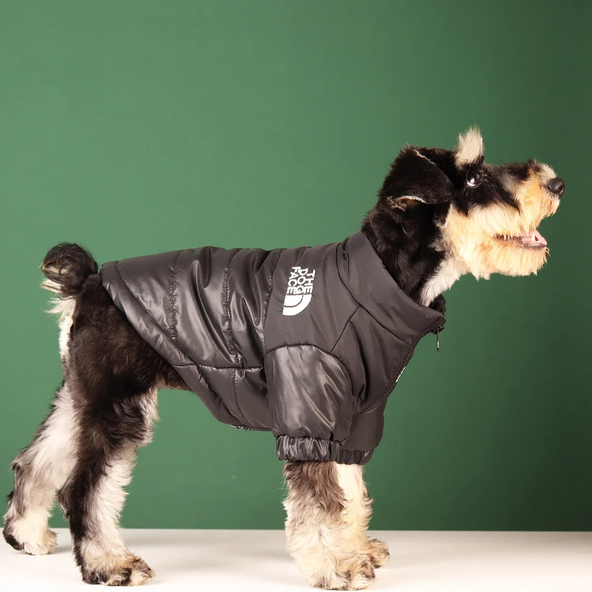 Large Winter Dog Jacket