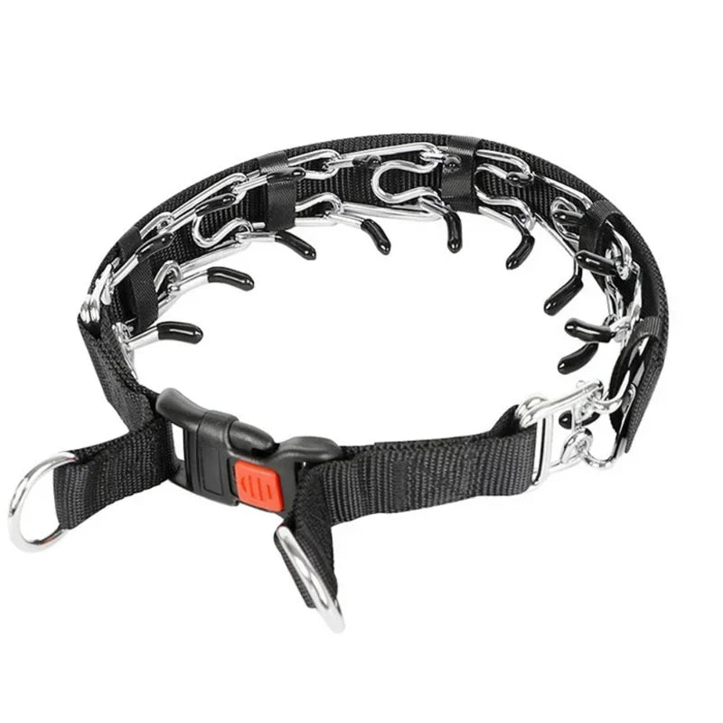 Prong Dog Training Collar