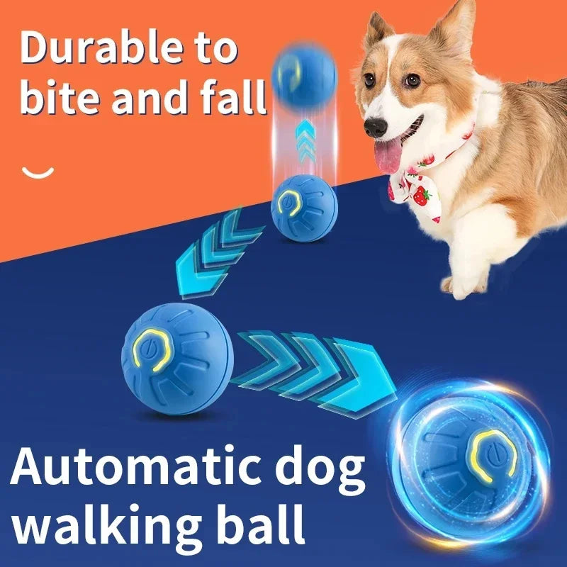 USB Rechargeable Interactive Dog & Cat Ball
