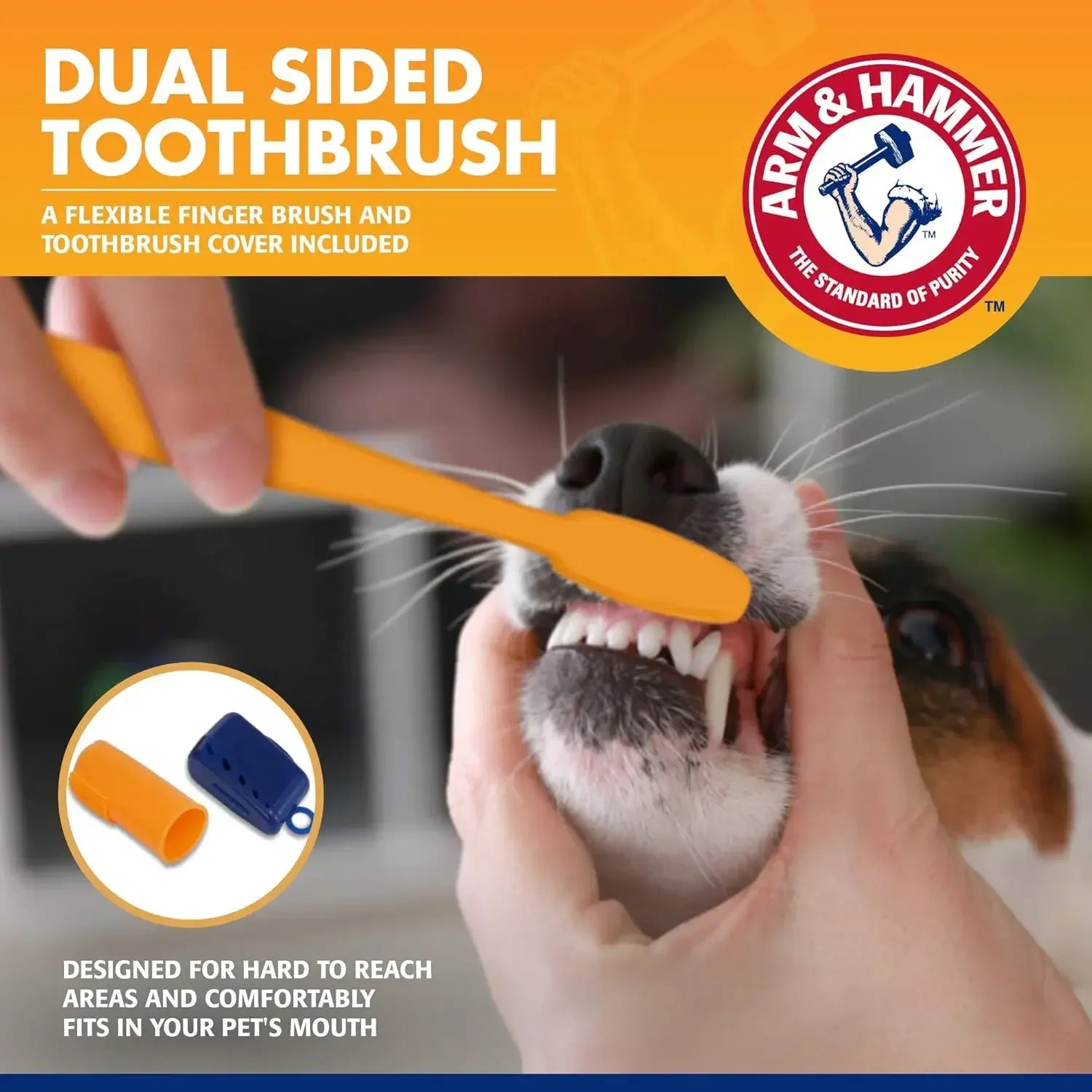 Pet Dental Care Kit