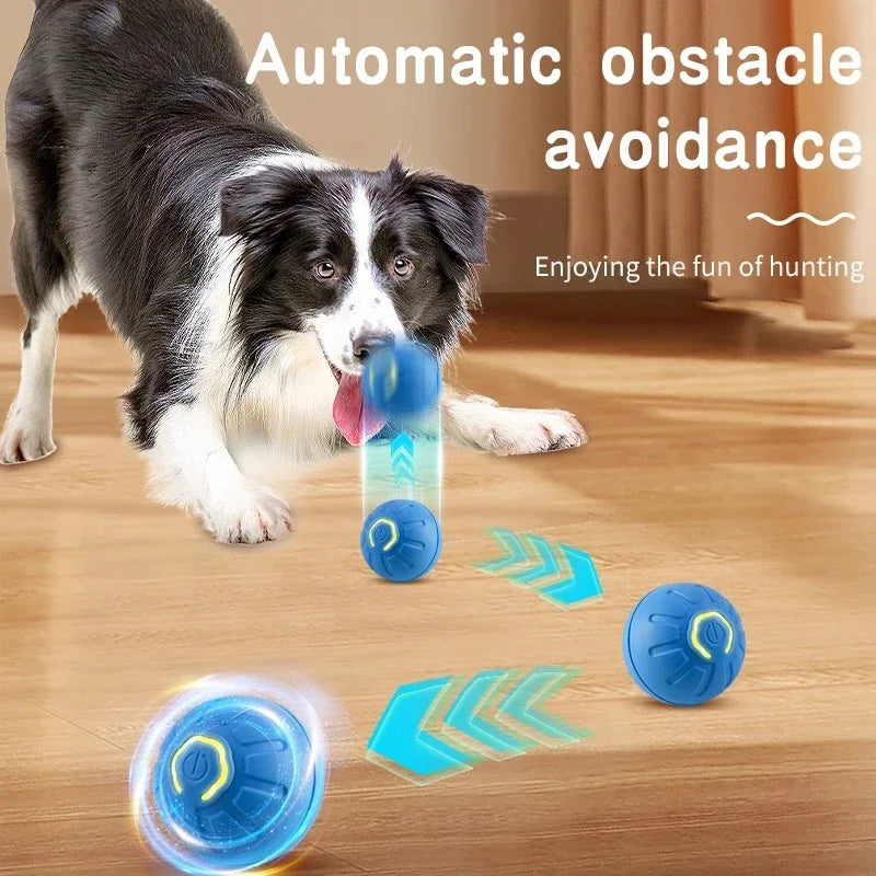 USB Rechargeable Interactive Dog & Cat Ball