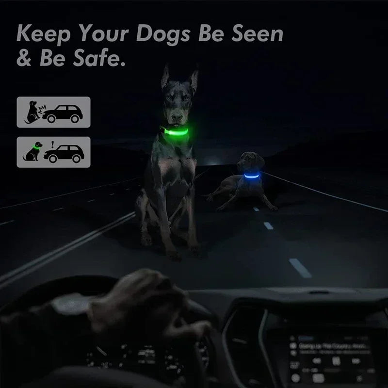 LED Rechargeable Dog Collar