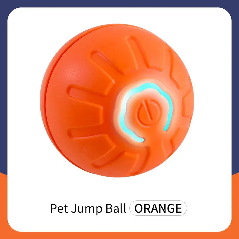 USB Rechargeable Interactive Dog & Cat Ball