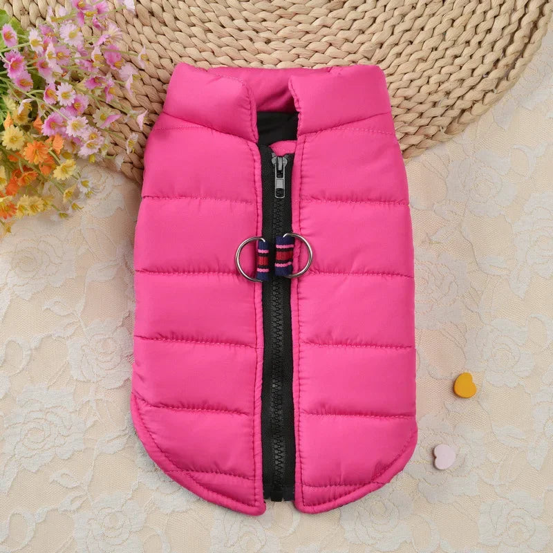 Winter Padded Dog & Cat Jacket