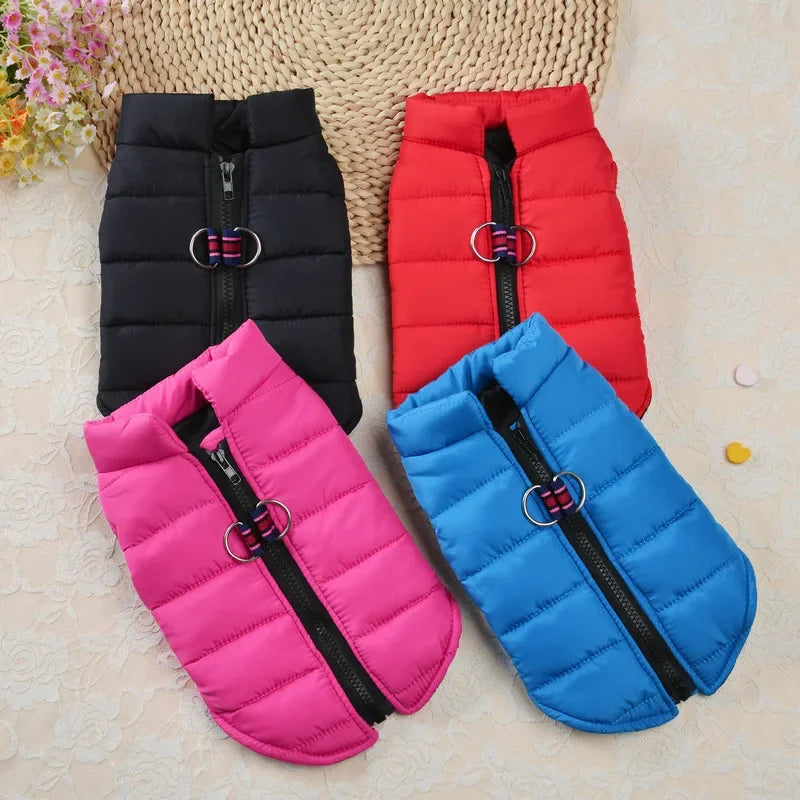 Winter Padded Dog & Cat Jacket