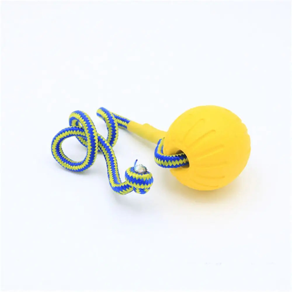 Indestructible Rubber Dog Ball Toy