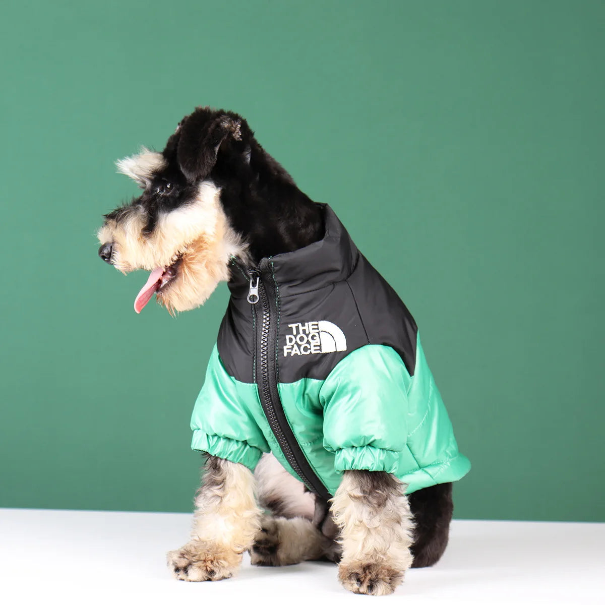 Large Winter Dog Jacket