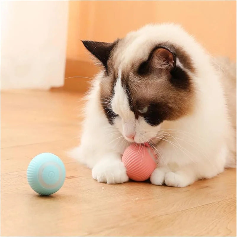 USB Rechargeable Interactive Dog & Cat Ball