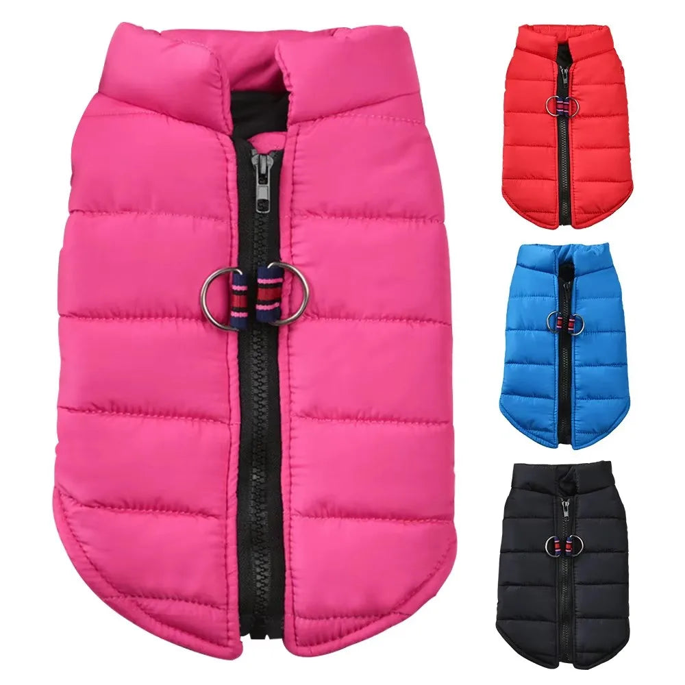 Winter Padded Dog & Cat Jacket