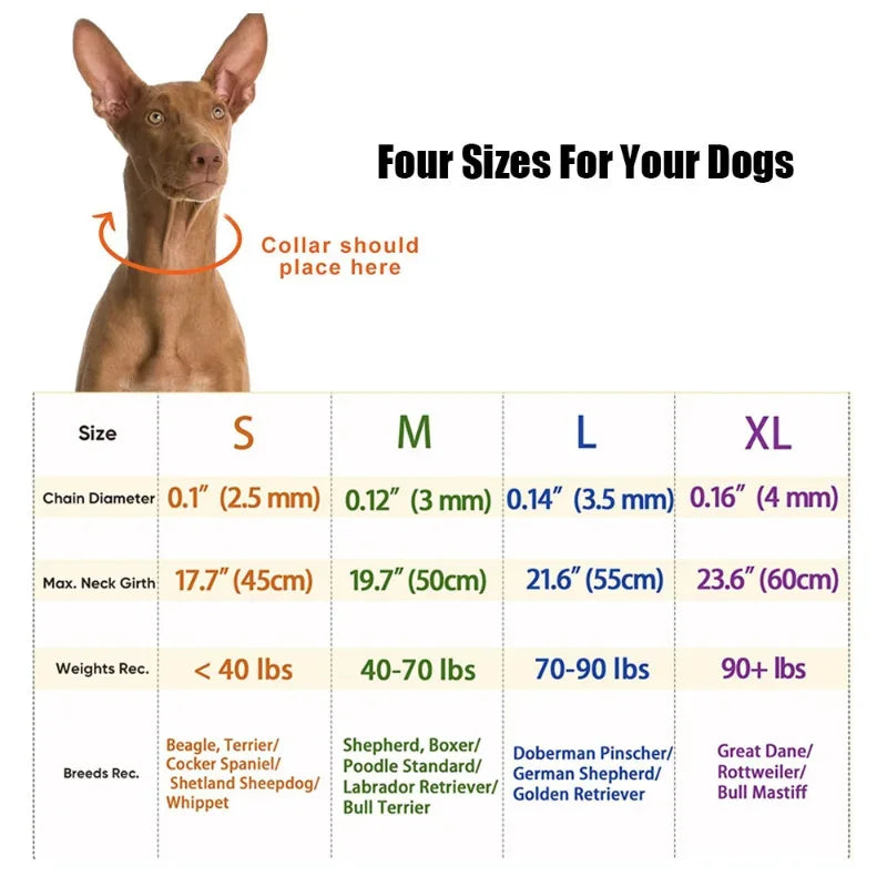 Prong Dog Training Collar