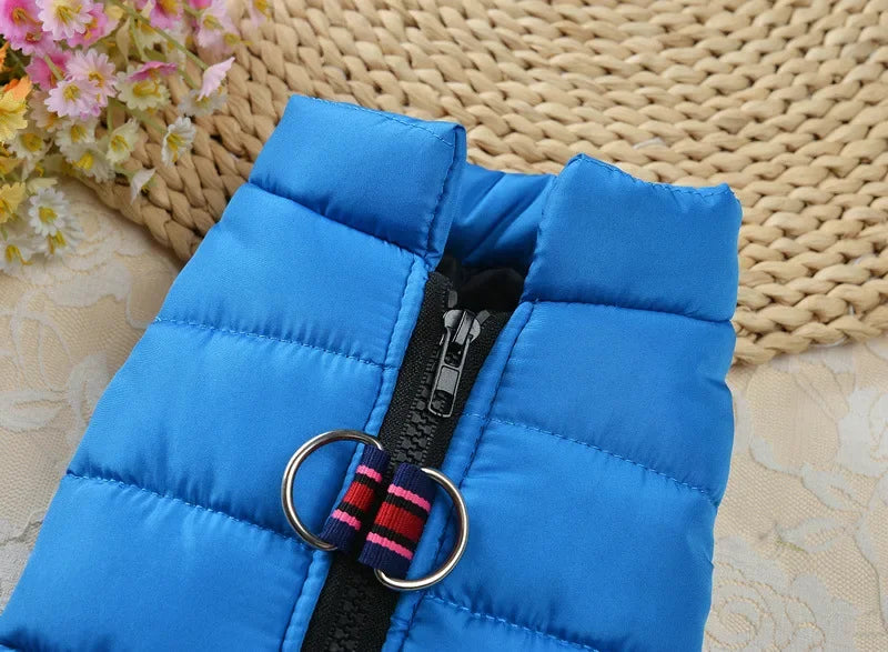 Winter Padded Dog & Cat Jacket