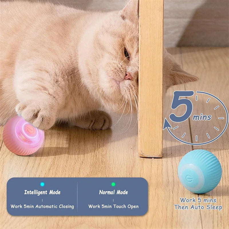 USB Rechargeable Interactive Dog & Cat Ball