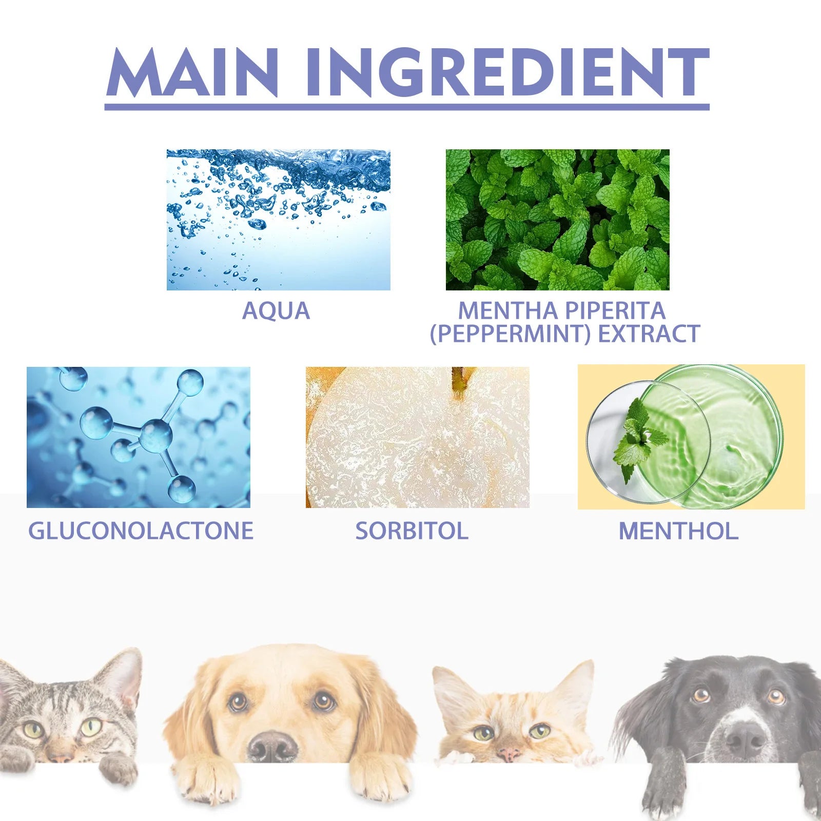 Pet Dental Spray 30ml