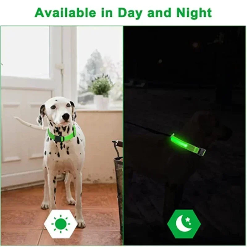 LED Rechargeable Dog Collar