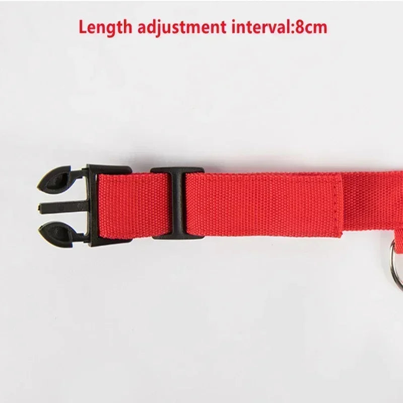 LED Rechargeable Dog Collar