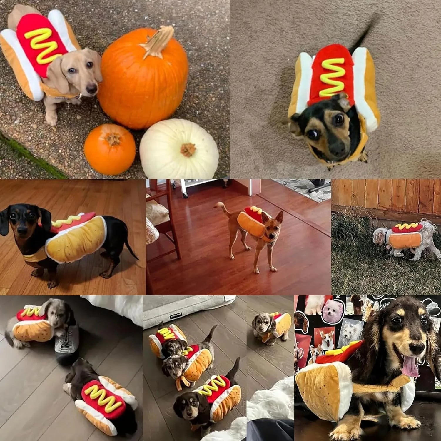 Hot Dog Halloween Dog Costume