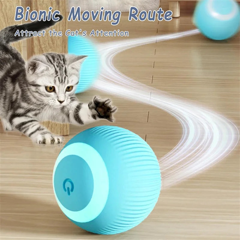 USB Rechargeable Interactive Dog & Cat Ball