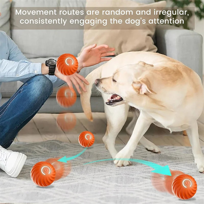 USB Rechargeable Interactive Dog & Cat Ball