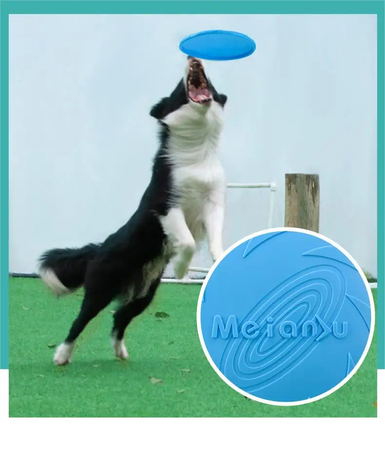 Bite-Resistant Dog Flying Disc