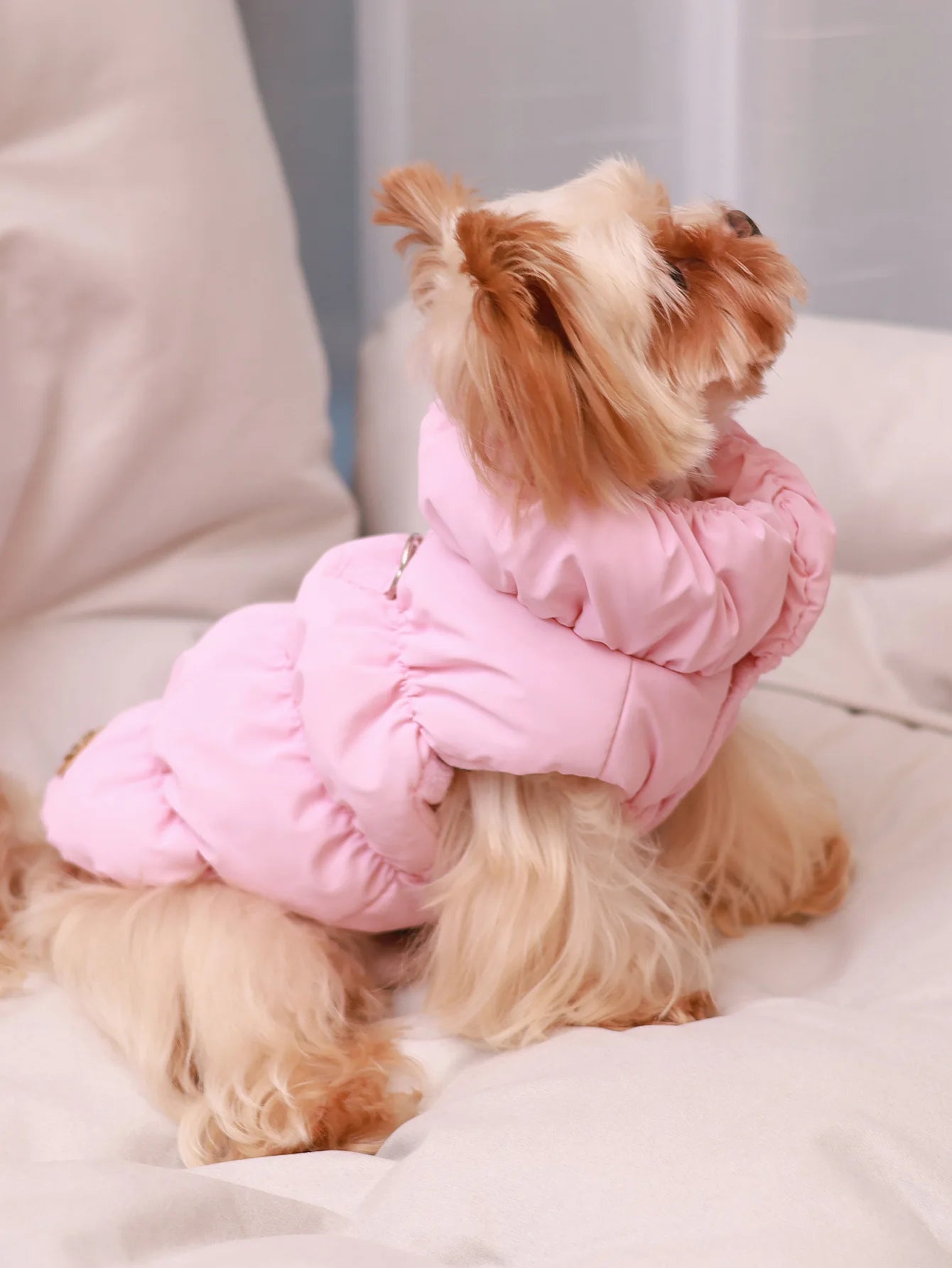 3-Layer Warm Dog Jacket