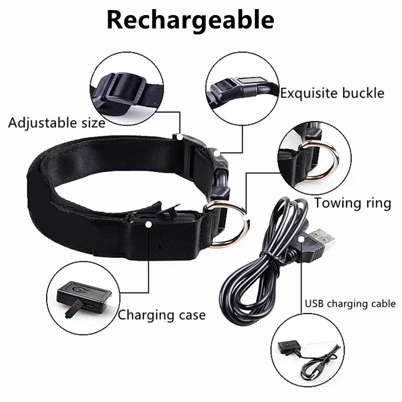LED Rechargeable Dog Collar